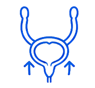 Pediatric Urology Care 11