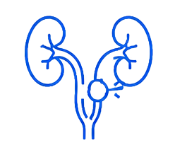 Urinary Disorder 6