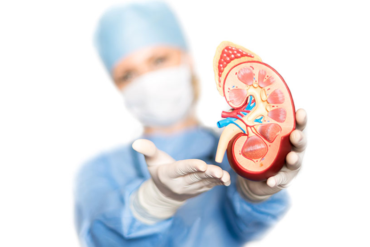 kidney transplandt